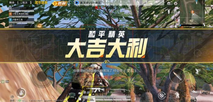 和平精英直装科技免费 - 安卓免root自瞄挂